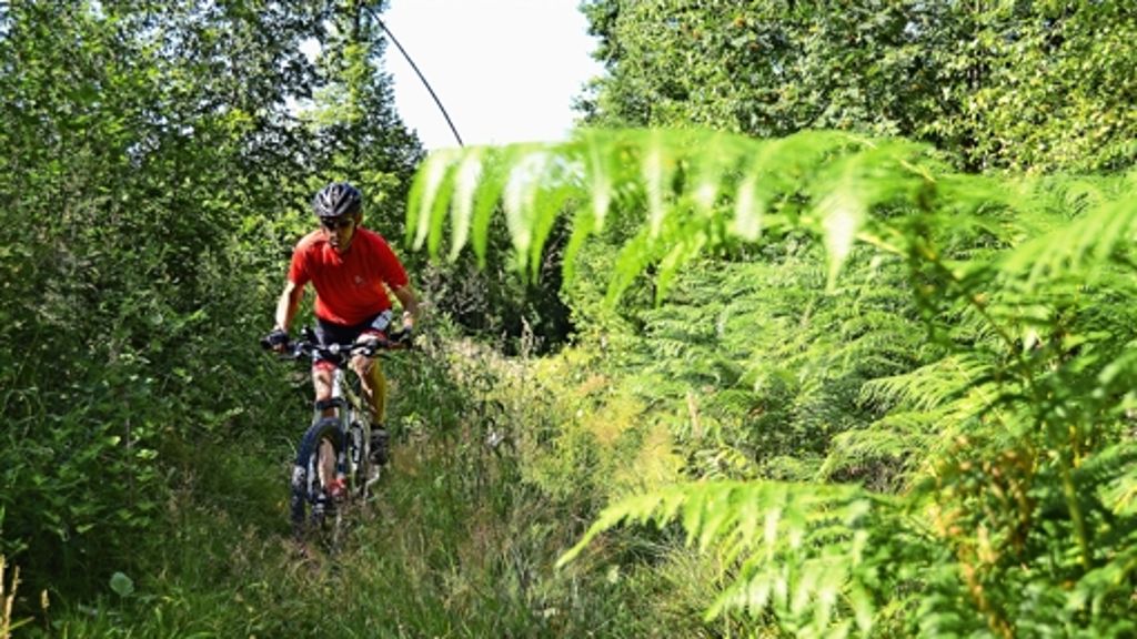 Landkreis Esslingen: Mountainbiken im   Schurwald