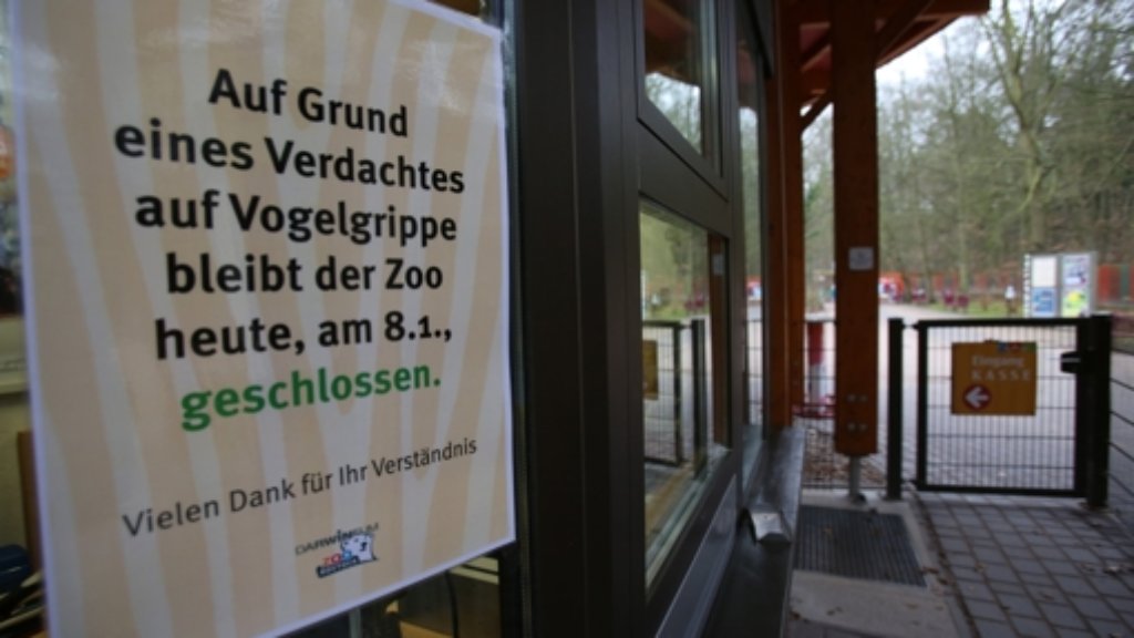  Vogelgrippe-Alarm in Rostock: Alle Weißstörche des Zoos sind mit dem gefährlichen H5N8-Virus infiziert. Jetzt müssen alle Vögel des Zoos untersucht werden. 
