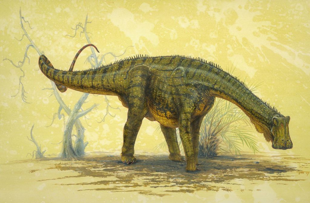 Im Gegensatz zu anderen Pflanzenfressern verfügte der etwa elefantengroße Nigersaurus taquet über bis zu zehn Reihen mit jeweils mehr als 50 Zähnen, alle eng zusammen am vorderen Kieferrand. Er lebte vor rund 110 Millionen Jahren.