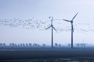 Grünen-Minister einigen sich auf schnelleren Windkraft-Ausbau