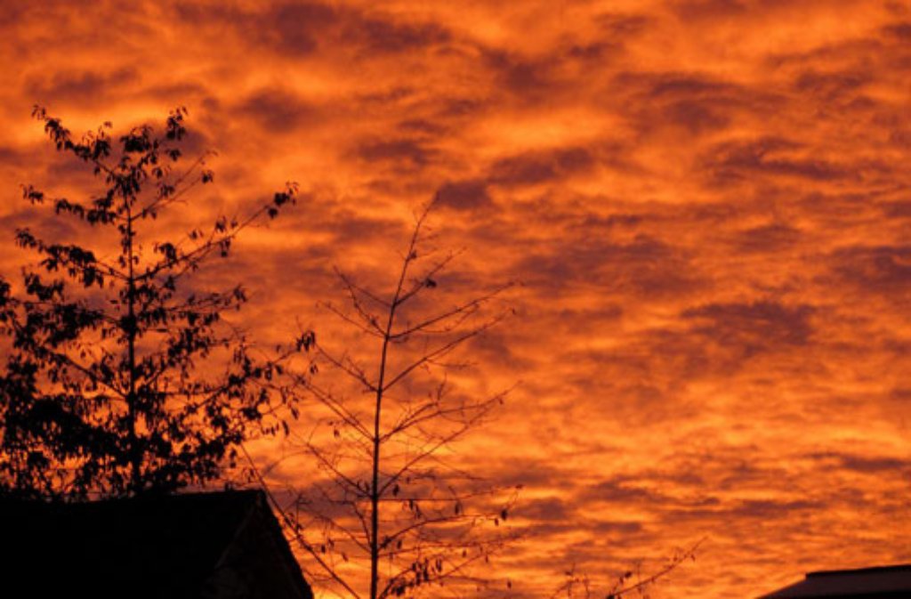 Abendstimmung: Den von der untergehenden Sonne in warmes Orange getauchten Himmel hielt Leserfotograf sonnenblume in Bildern fest.