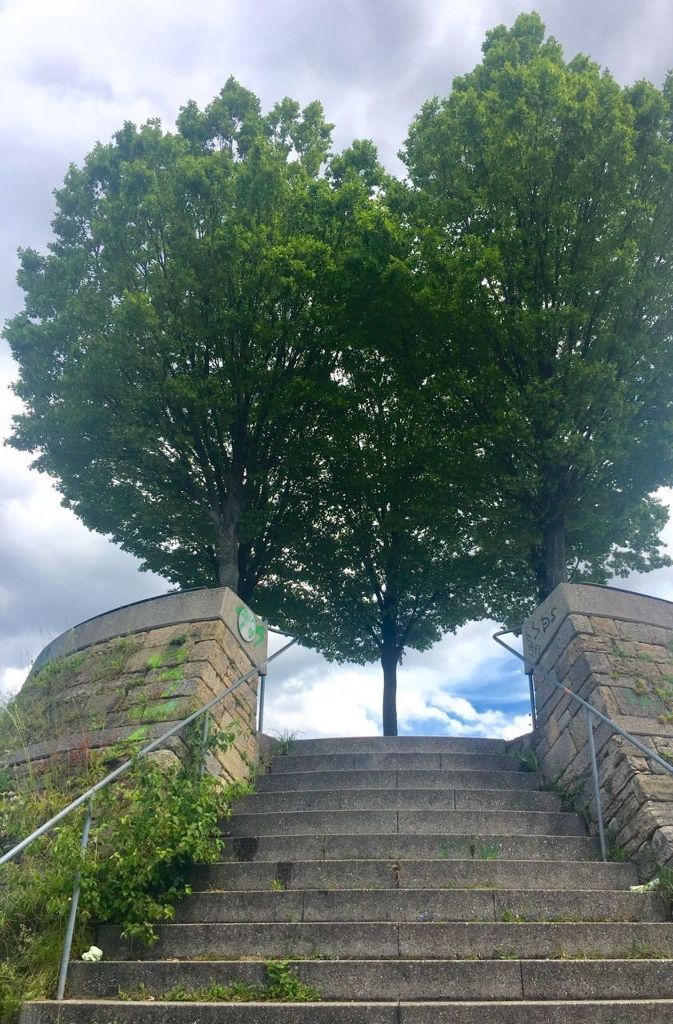 Sicher noch ein Geheimtipp: Die Bastion Leibfried in der Nähe der Haltestelle Löwentor – vor allem im Sommer, wenn die Bäume zu einem Herz verschmelzen.