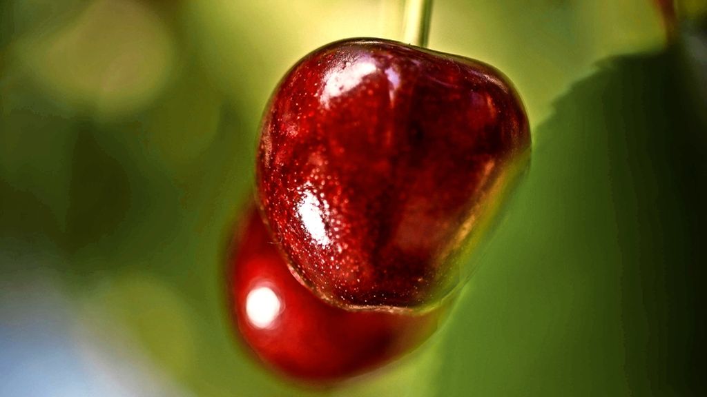 Obst und Wein aus dem Remstal: Obstbauern sind zuversichtlich
