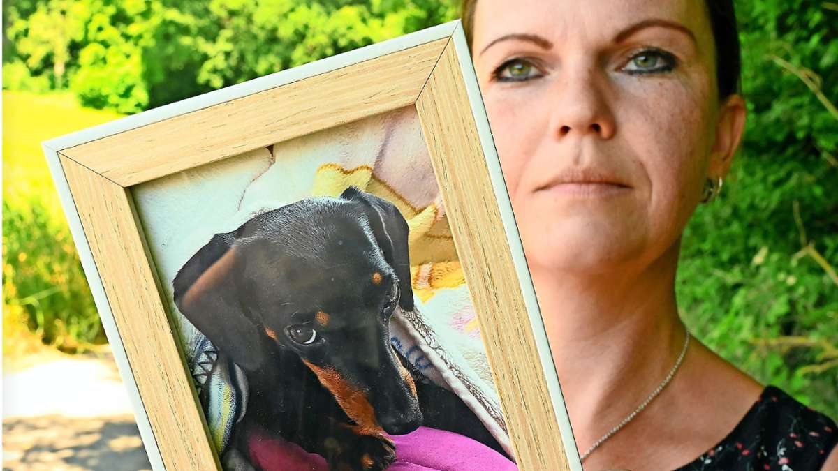 Streit mit dem  Ludwigsburger Tierheim: Ist der Kampf um Dackelmädchen Lola verloren?