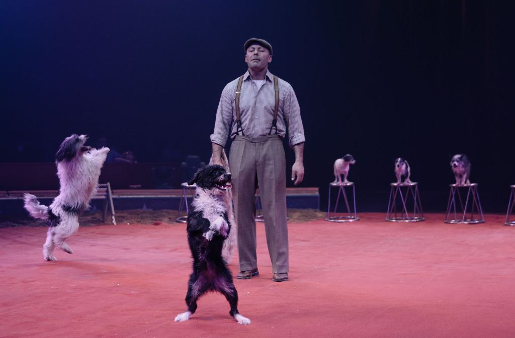 Die verspielten Hunde von Wolfgang Lauenburger sind ein Publikumshit.
