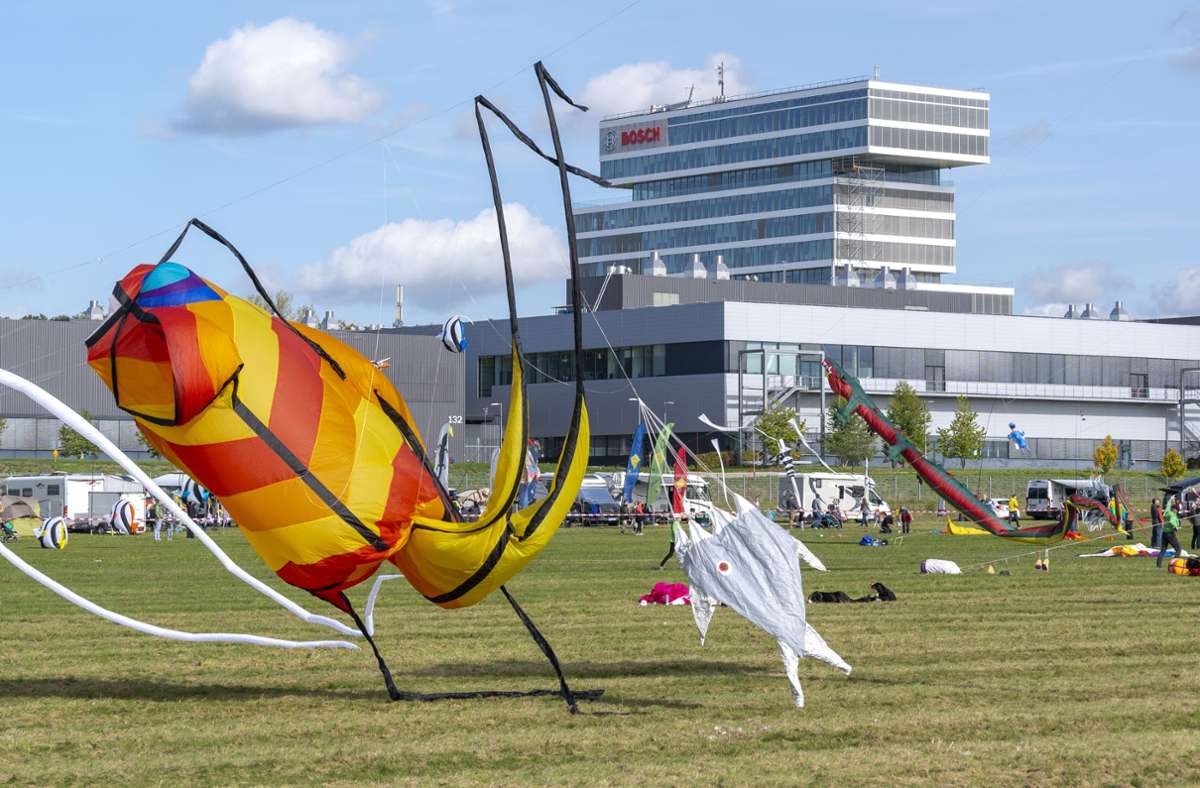 Beim 27. Drachenfest des Sportfliegerclubs Malmsheim am Wochenende ist nichts durch die Lüfte geflogen, was es nicht gibt.