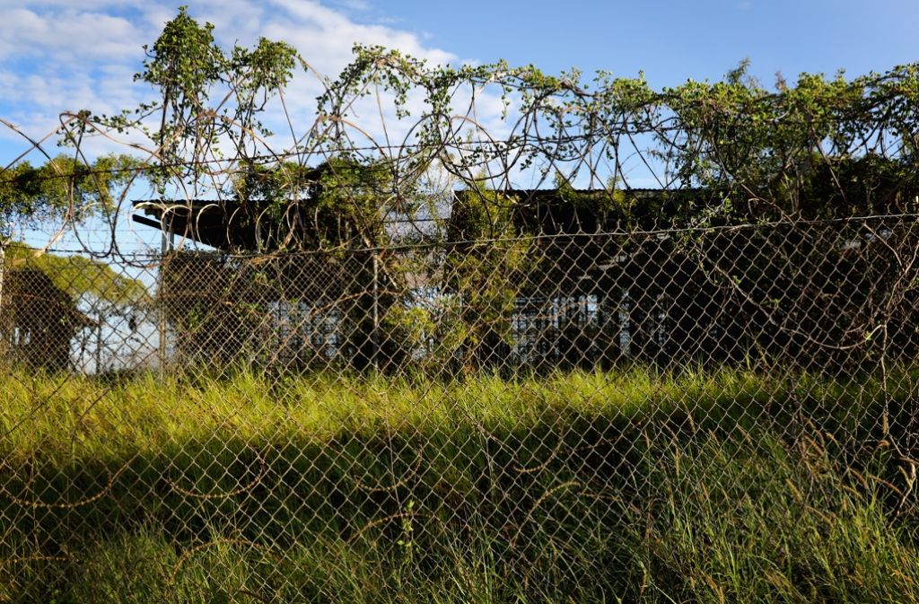 Hier wächst bereits Gras über eine geschlossene Einrichtung in Guantánamo: Das ehemalige Camp X-Ray wird heute von Pflanzen überwuchert.
