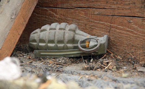Noch scharf war diese Handgranate aus dem Zweiten Weltkrieg, die ein Murrhardter im Dachgebälk seines Hauses gefunden hat. Foto: Polizei