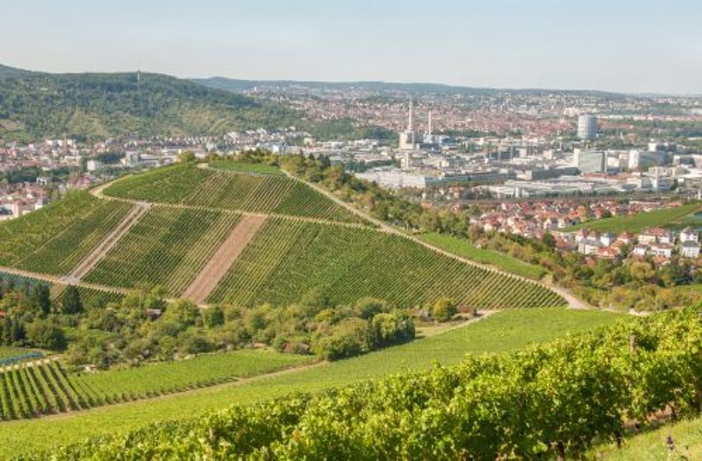 Der hübsche, rund 2800 Seelen zählende Weinbauort Uhlbach ist ein Stadtteil Stuttgarts und Ausgangspunkt unserer Radtour.