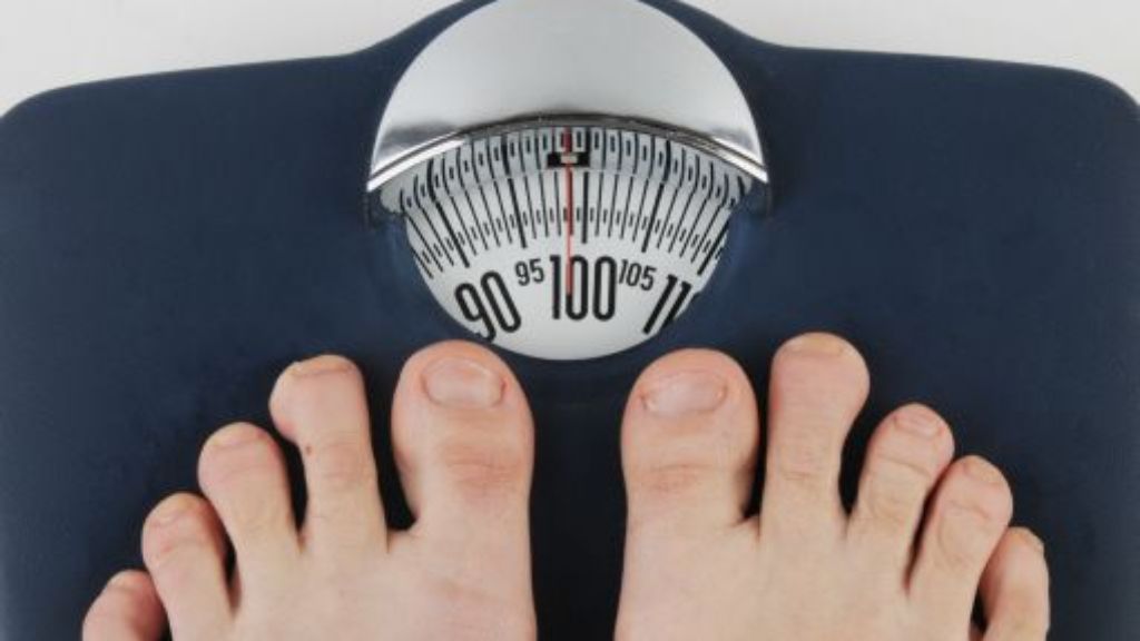 Übergewicht: Sind die Darmbakterien schuld?