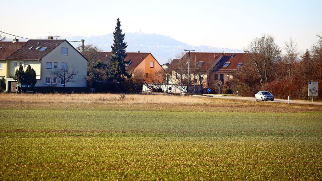 Wohnen  in Ditzingen: Die Pläne für ein großes Baugebiet stocken