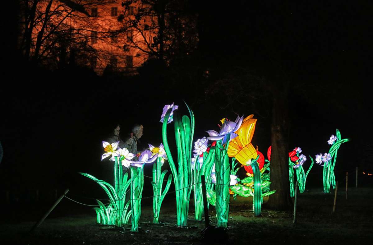Beleuchtete Organza-Blumen im Blüba. Foto: Ralf Poller