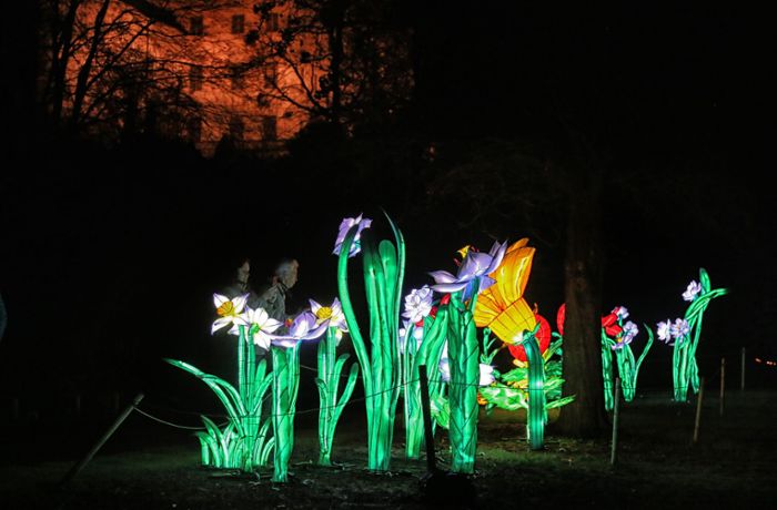 Blühendes Barock in Ludwigsburg: Im Blüba leuchten die Blumen nachts
