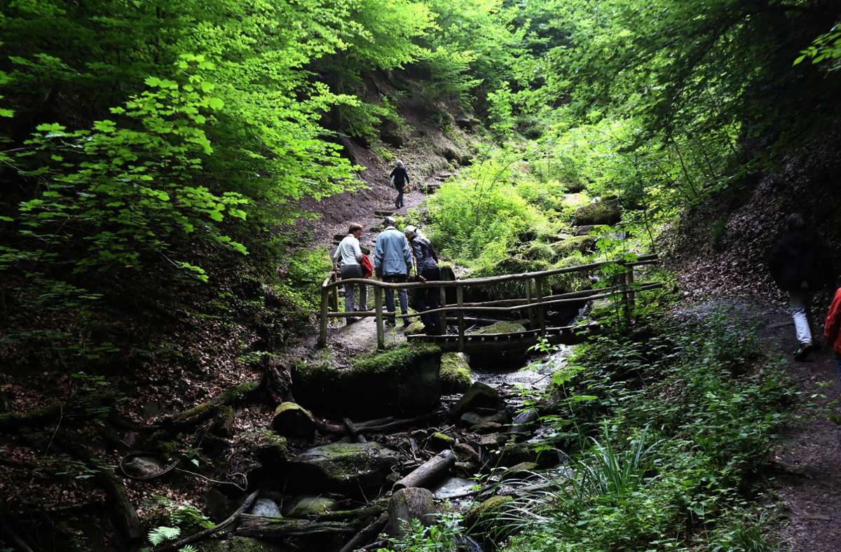 Für Naturfreunde, die auch im Sommer ein bisschen wandern gehen möchten, ist die Heideklinge in Heslach ein perfekter Ort. Dort kann man nicht nur den malerischen Wasserfall bestaunen, die vielen Bäume bieten auch Schatten und schützen vor der Sonne.