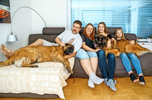 Familie Kaisser mit ihren Hunden. Foto: factum/Granville
