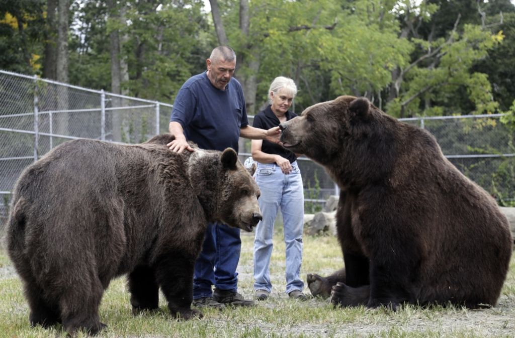 Gemeinsam mit seiner Frau Susan leitet Jim Kowalczik das Zentrum für verwaiste Wildtiere in Otisville im US-Bundesstaat New York. Die Bären, sagen sie, seien wie ihre Kinder. Freiwillige können bei der Pflege der Tiere helfen. Besucher empfängt das Zentrum jedoch nur einmal im Jahr bei einem Tag der offenen Tür.