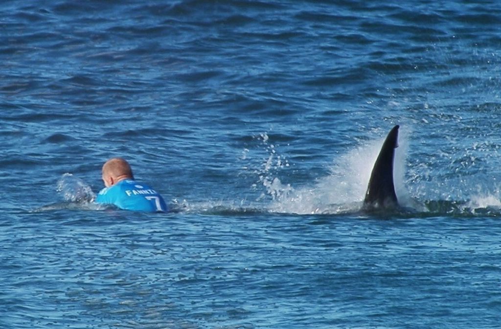 Der australische Surfer Mick Flanning wurde am 19. Juli 2015 in Jeffrey’s Bay (Südafrika) von einem Weißen Hai attackiert – und überlebte wie durch ein Wunder.