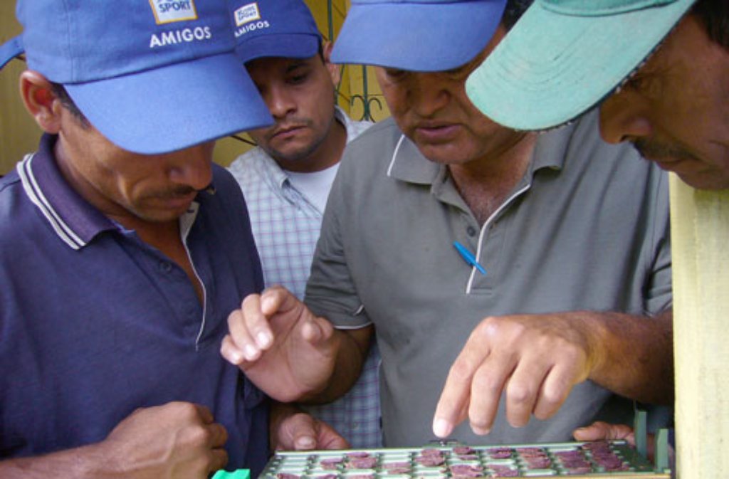 Seit 1990 unterstützt Ritter Sport mit dem Projekt "Cacaonica" Kakaobauern in Nicaragua. Von deren Weiterbildung und der fairen Bezahlung profitiert auch Ritter Sport selbst. Der hochwertige Kakao wird seit 2008 für das Bio-Sortiment aus Waldenbuch verarbeitet.
