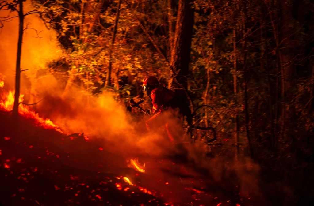 Bei andauernder Hitze halten die schweren Waldbrände Portugal und Spanien weiter in Atem