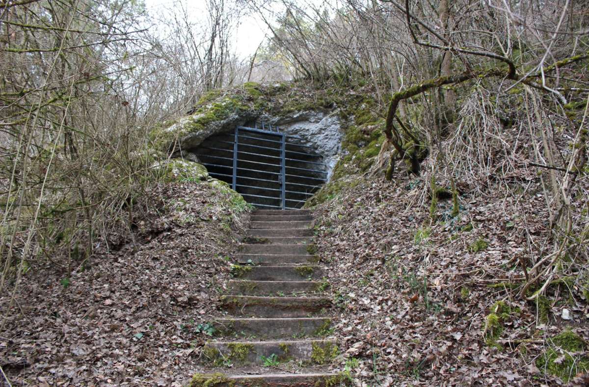 Die Gnirshöhle befindet sich in der Nähe des Bodensees. Etwa einen Kilometer östlich der Stadt Engen führen 43 Treppenstufen hinauf zum Eingang.
