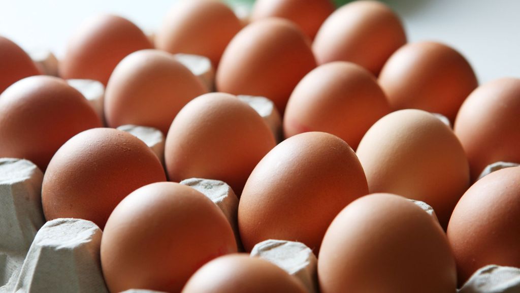 Fünf Supermarktketten betroffen: Eier wegen Salmonellen zurückgerufen