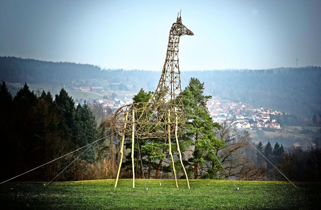 Noch bis etwa Ende März steht die Giraffe am Ortsausgang von Engelberg.