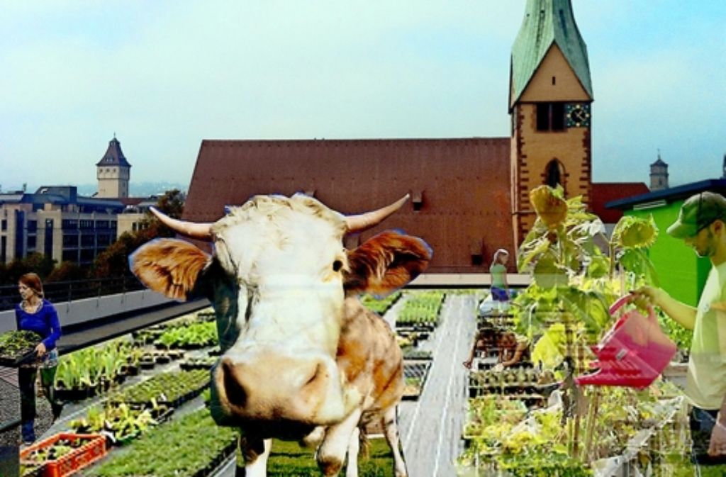 So ähnlich – aber ohne Kuh – könnte es beim Züblin-Parkhaus bald aussehen. Foto: privat