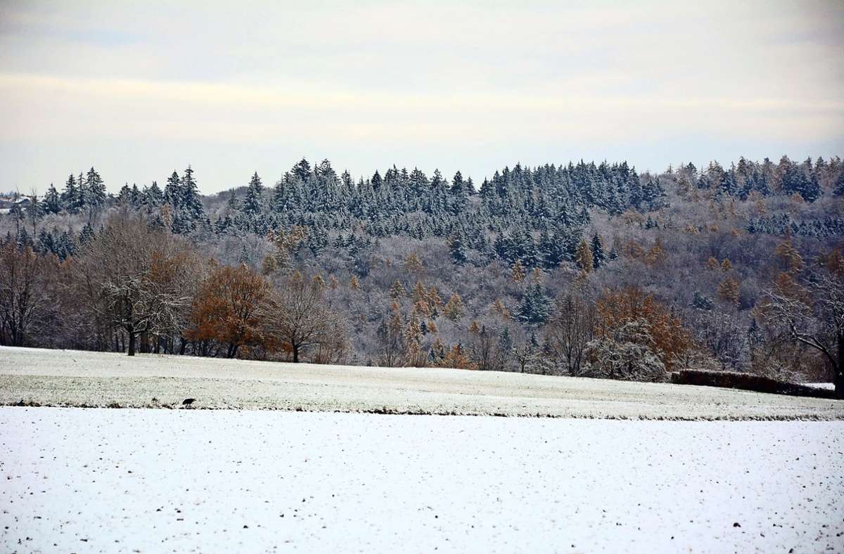 Die Erderwärmung ist in Deutschland nicht mehr zu übersehen. Schneereiche Winter – wie hier zu sehen –  werden auch im Landkreis Esslingen immer seltener. Foto: Philipp Braitinger