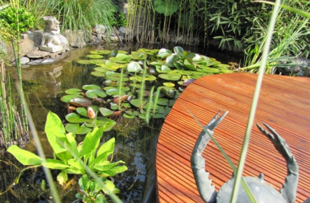 Auch ein Teich gehört zum Inventar in Dieter Löschs Garten.