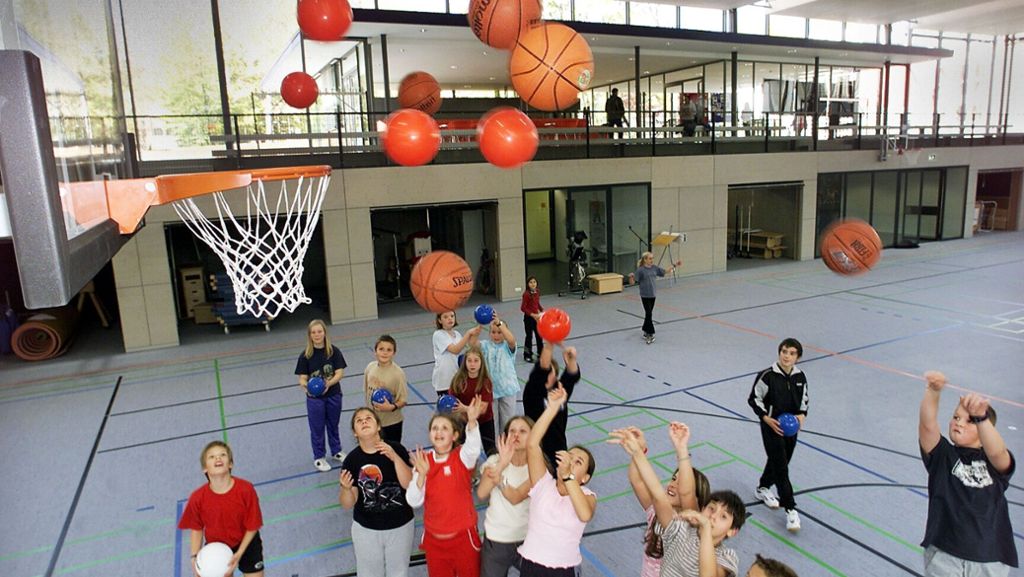 Sportstättendebatte in Bietigheim-Bissingen: Alle wollen mehr Sporthallen – doch sind sie überhaupt  nötig?