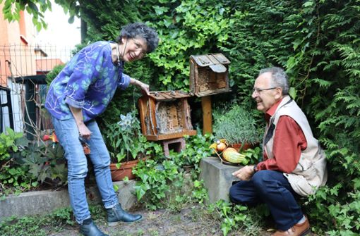 Sabine Rosien freut sich über die Bienen, die dank Bernhard Gomm in ihrem Garten leben. Foto: Georg Friedel