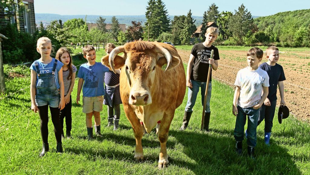  Dass Karotten beim Ernten dreckig sind oder wie Butterschütteln funktioniert, das lernen Kinder auf dem Schulbauernhof Zukunftsfelder in Korntal-Münchingen. Die Nachfrage ist so groß, dass der Bauernhof jetzt erweitert hat. 