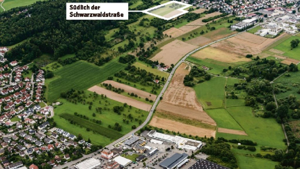 Neubaugebiet in Weil der Stadt: Häuslebauer können 2020 loslegen