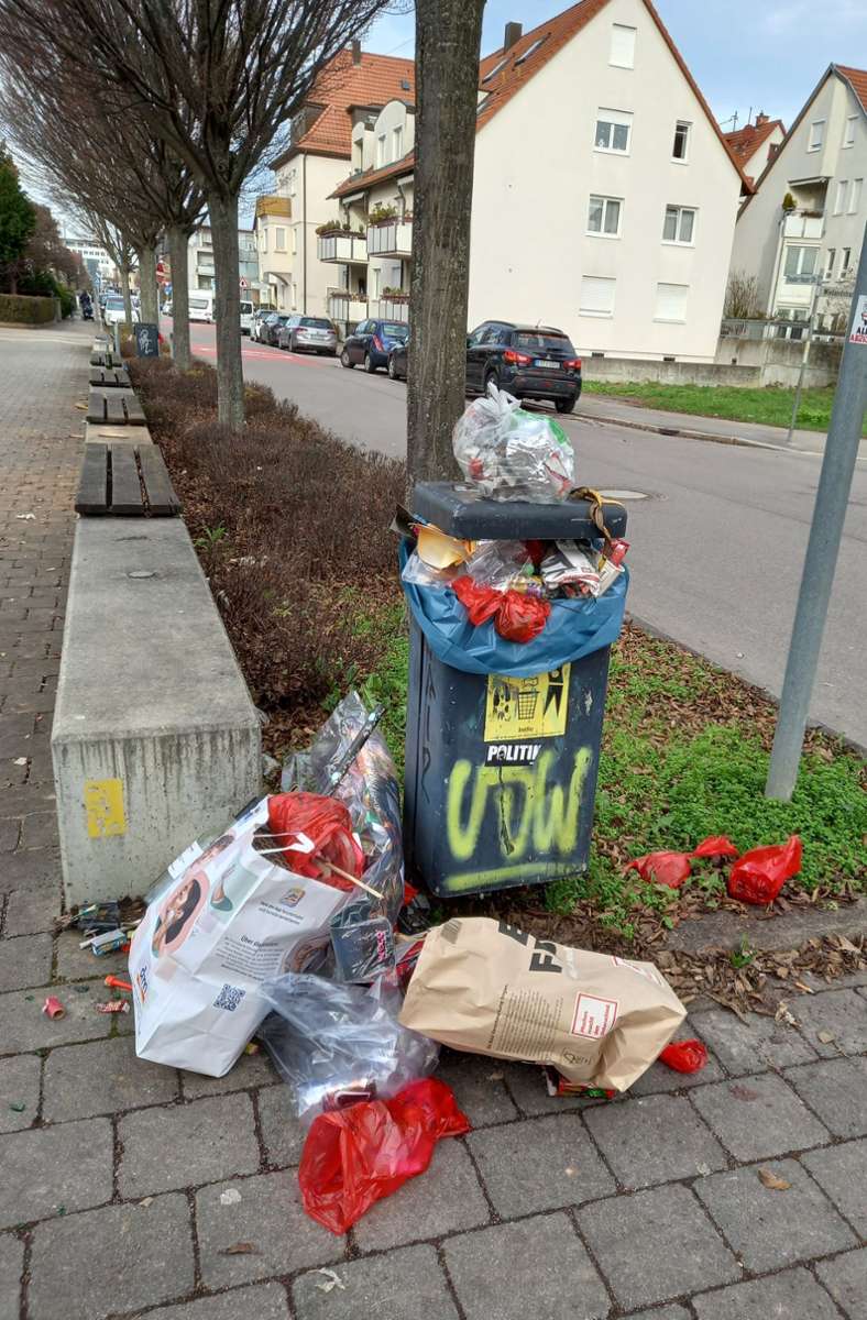 In der Thoeodor-Heuss-Strasse passt nichts mehr in die Müllbehälter.