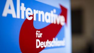 Donaueschingen: Auftakt ohne Spitzenkandidat - AfD startet Wahlkampf zur Europawahl
