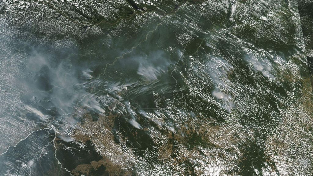Brasilien: Verheerende Waldbrände im Amazonas-Regenwald