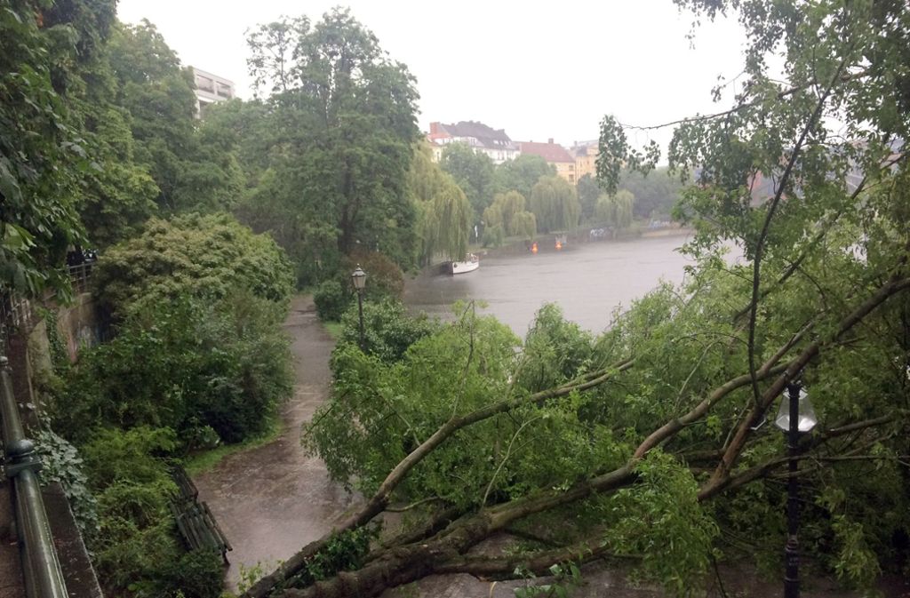 Das Unwetter hatte in Berlin-Moabit Bäume entwurzelt.
