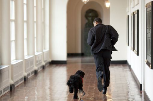 Pete Souza, der offizielle Fotograf der Obama-Regierung, hat ikonische Fotos von Bo und den Obamas aufgenommen. Foto: AFP/Pete SOUZA