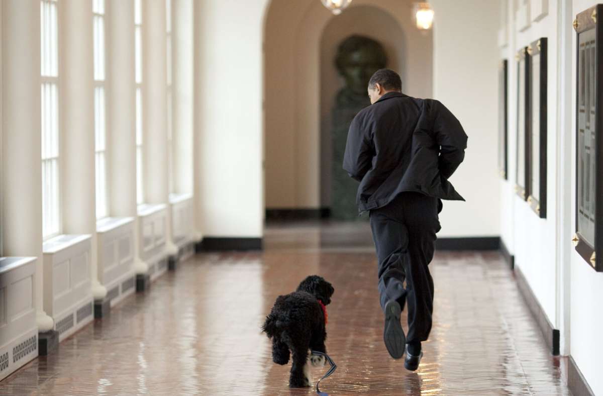 Pete Souza, der offizielle Fotograf der Obama-Regierung, hat ikonische Fotos von Bo und den Obamas aufgenommen.