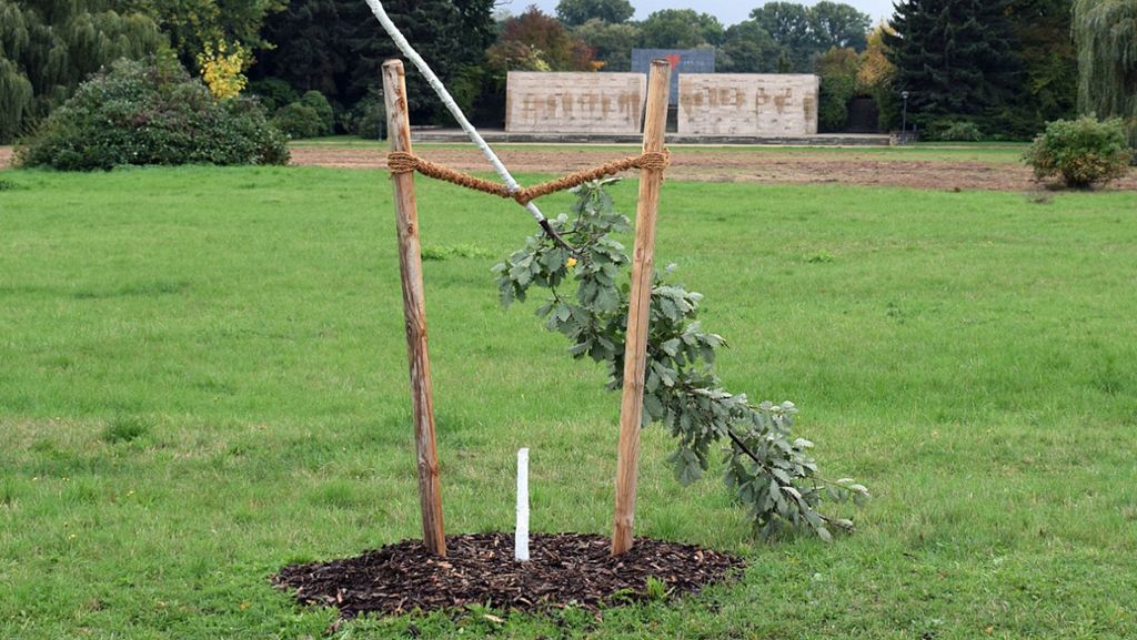  Ein ersatzweise aufgestelltes Gedenkzeichen ist wenige Tage nach dem Absägen eines Gedenkbaumes für das erste NSU-Opfer im sächsischen Zwickau auch zerstört worden. Das Absägen des Baumes hatte entsetzte Reaktionen ausgelöst. 