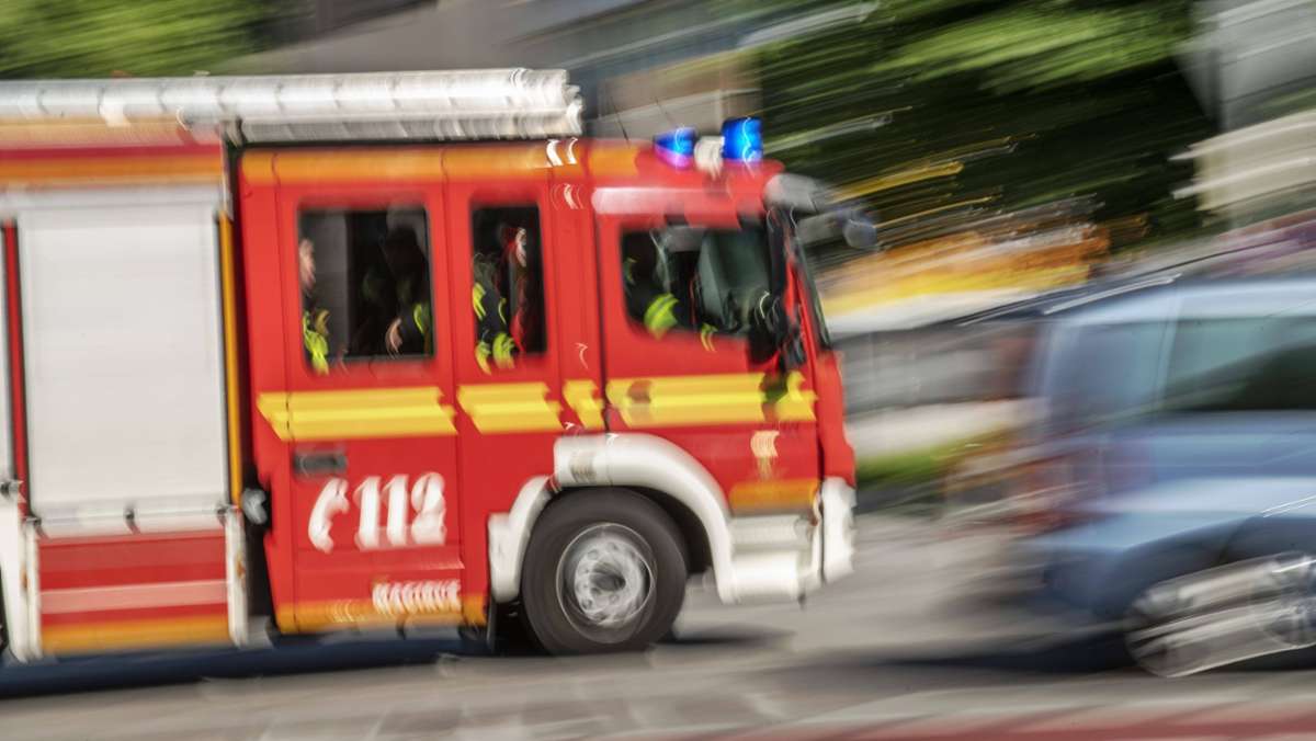 Feuer in Ludwigsburg: Gartenhütte in Eglosheim brennt ab