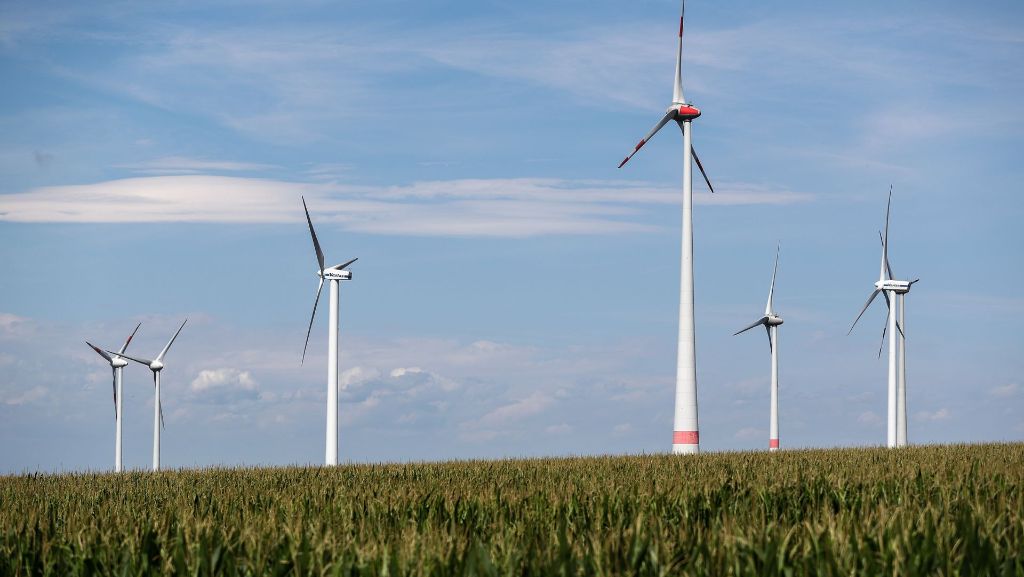 Ausschreibungen für Windenergieprojekte: Hinter Bürgerenergie-Windparks stecken oft Profis