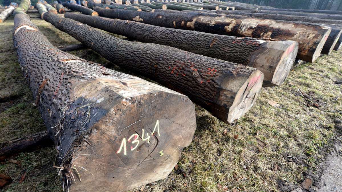 Holzbedarf rings um Leonberg: Brennholz ist gefragter denn je