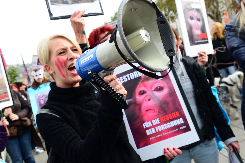 Tierschützer haben in Stuttgart gegen Versuche an Affen protestiert.