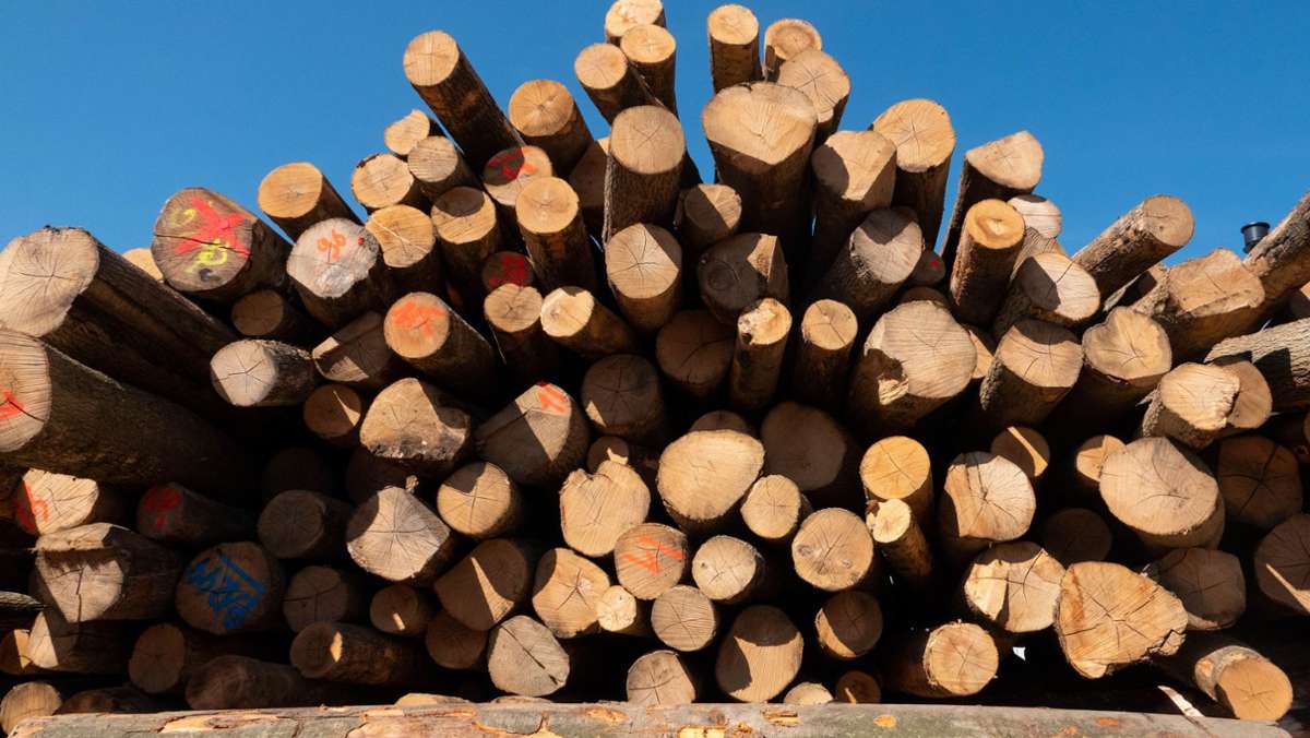 Feuerholz Mönsheim: Brennholzpreise explodieren