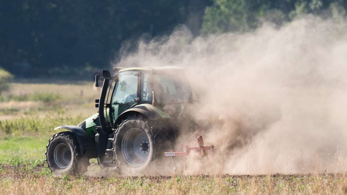 Agrar-Reform der EU: Europas Landwirtschaft soll grüner werden