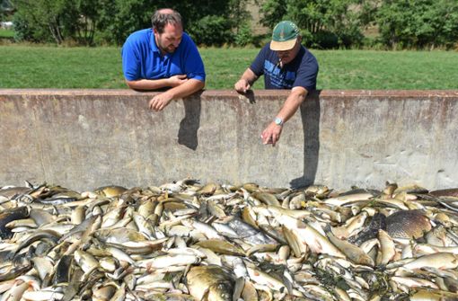 Vor drei Jahren hatte giftiges Löschwasser ein großes Fischsterben in der Jagst ausgelöst. Foto: dpa