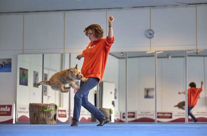 Dogdance-Europameisterschaft in Stuttgart: Die mit den Hunden tanzen