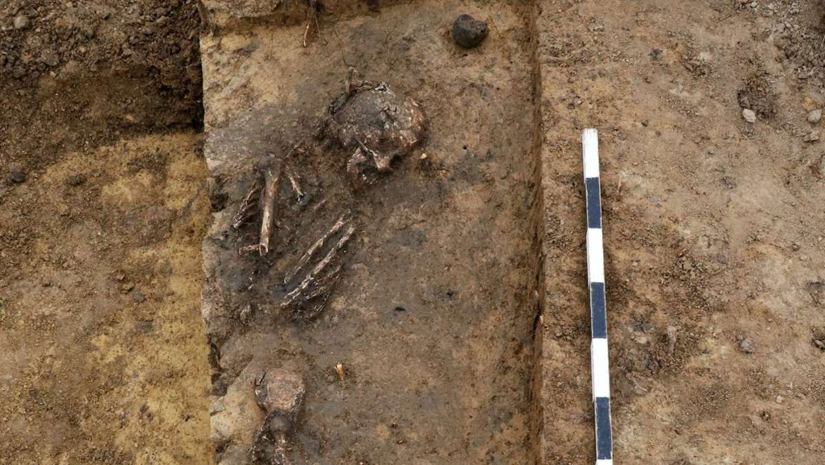  Im Frühjahr 2021 wurde ein Skelett im Untergrund eines Leinfelder Neubaugebiet gefunden. Eine wissenschaftliche Untersuchung in Konstanz soll nun mehr Erkenntnisse über den Fund liefern. Beispielsweise wie alt die Knochen ganz genau sind. 