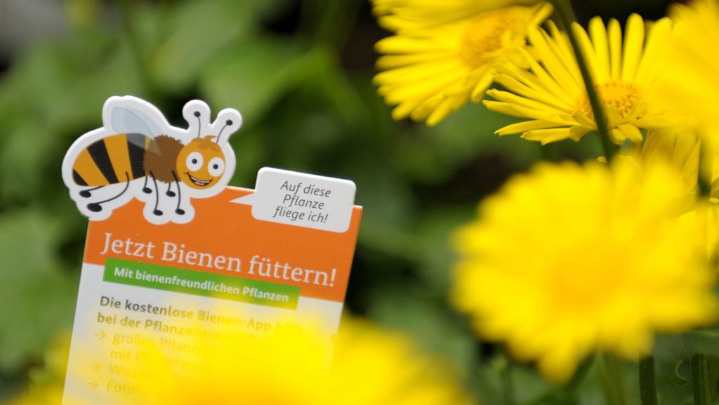 Insektenschutz im Landkreis Ludwigsburg: Mit Samentütchen gegen das Bienensterben